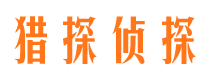 和静市侦探公司